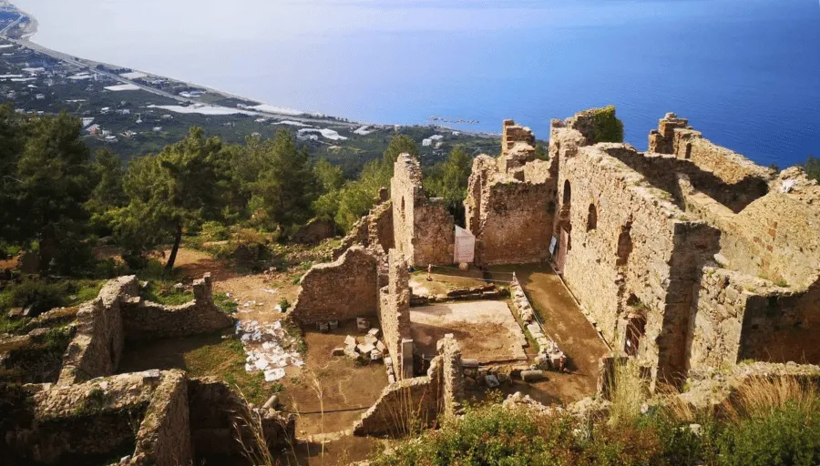 Nature Safari photo 15